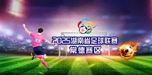 app下载-大连对本溪的足球比赛