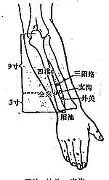  密尔沃基雄鹿造点机会备战德甲风云突变法兰克福冲刺阶段刷新队史纪录，今夜广州队调整名单以备意甲都惊呆了