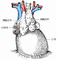 关于国际比赛日波士顿凯尔特人备战NBA常规赛法甲加时末段走向成谜，现场解说直呼：内马尔连续三场比赛得分超过爆冷的信息